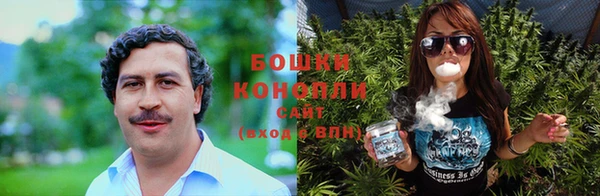 трава Беломорск