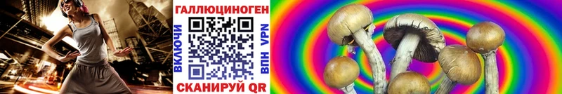 Псилоцибиновые грибы MAGIC MUSHROOMS  это как зайти  Вязники 